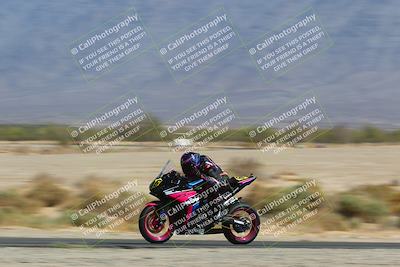 media/Apr-10-2022-SoCal Trackdays (Sun) [[f104b12566]]/Speed Shots Back Straight (930am)/